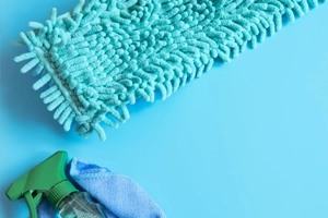 WÓZKI, SZCZOTKI, MOPY - dla profosjonalistów